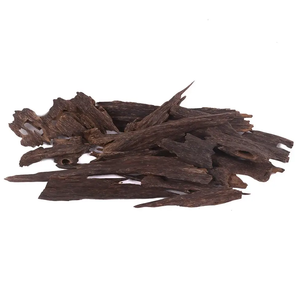 The Ancient Wild Hindi